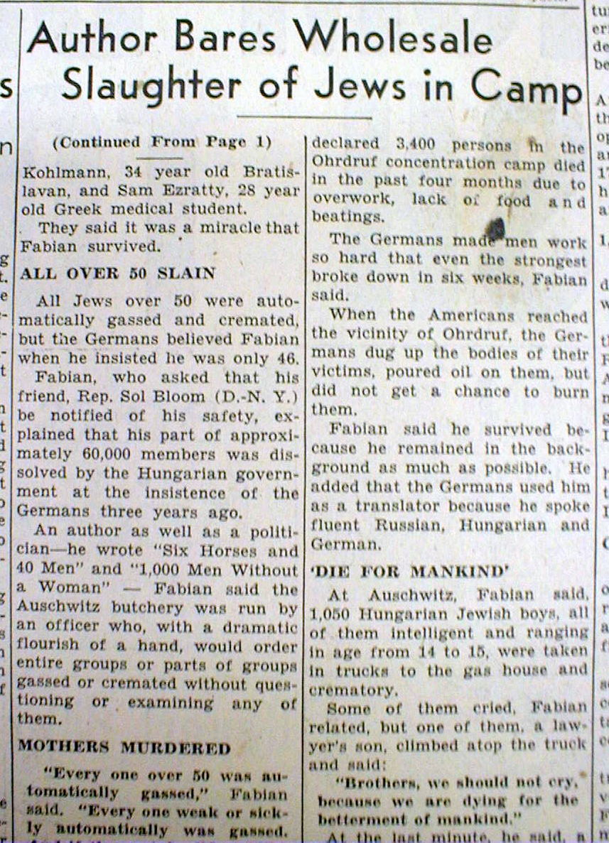 Holocaust essay titles image